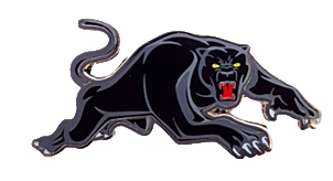 NRL Team Pins