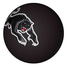 Panthers Bounce Ball