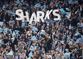 Cronulla Sharks fans in footy crowd all wearing sharks jerseys and team merch