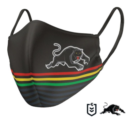Panthers Face Mask - Reversible