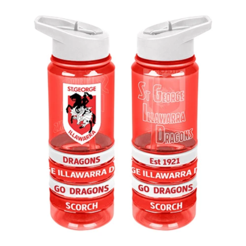 Dragons Drink Bottle w/ Wrist Bands
