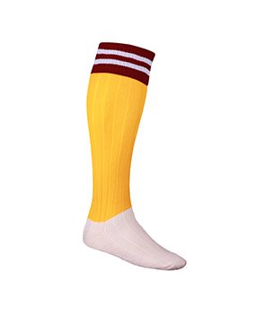 Brisbane Broncos Team Socks