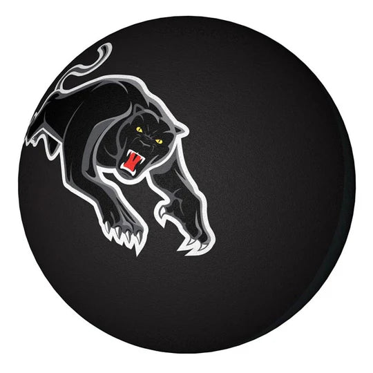 Panthers Handball