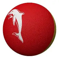Dolphins Bounce Ball