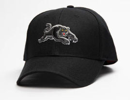 Panthers Stadium Cap