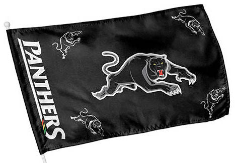 Panthers Kids Flag