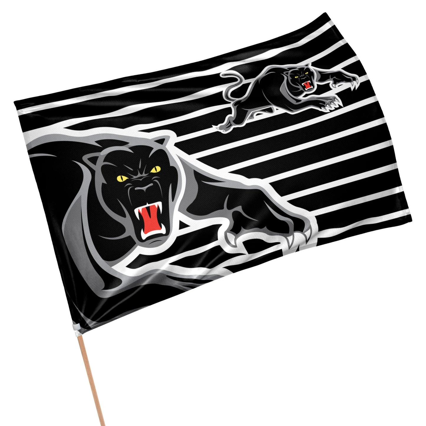 Panthers Game Day Flag (87cm x 58cm)