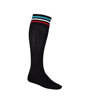 Penrith Panthers Team Socks (new)